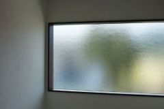 DSC02207
